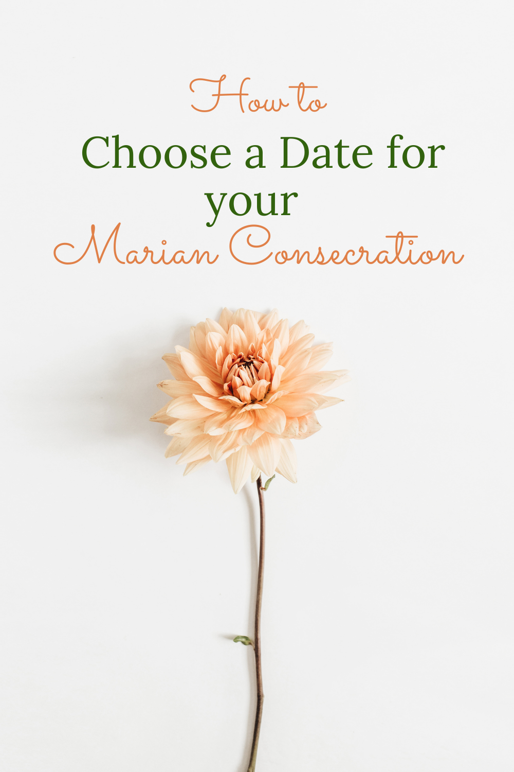 Marian Consecration Date